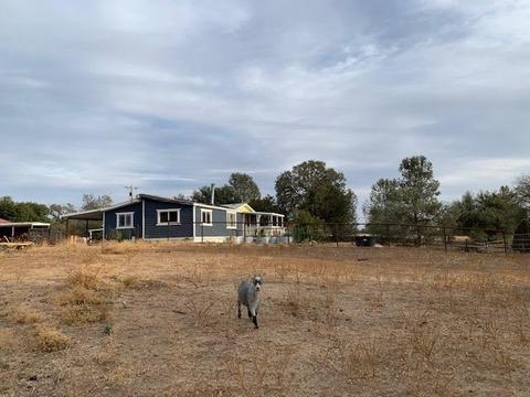 2928 Beaver Rd, Copperopolis, CA 95228 photo 6