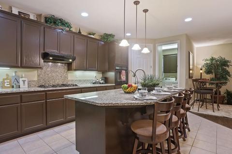 1609 Bella Terra Dr, Manteca, CA 95337 photo 12