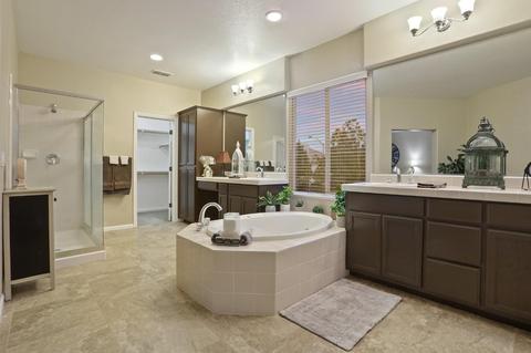 1609 Bella Terra Dr, Manteca, CA 95337 photo 19