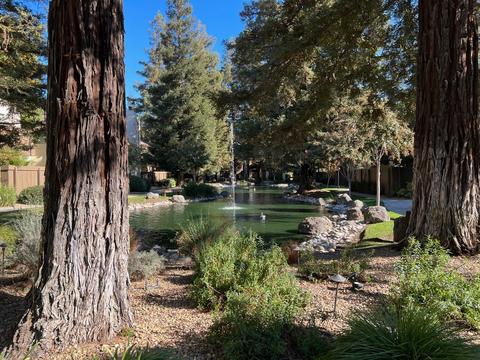 3701 Colonial Dr #135, Modesto, CA 95356 photo 7