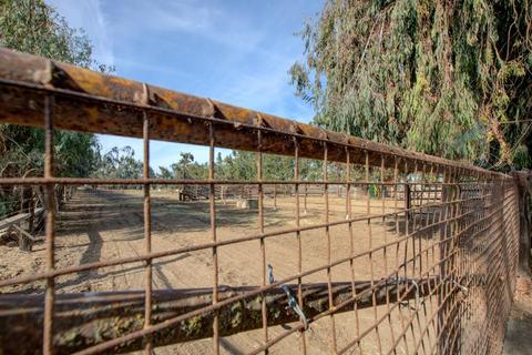 10467 Carpenter Rd, Crows Landing, CA 95313 photo 70