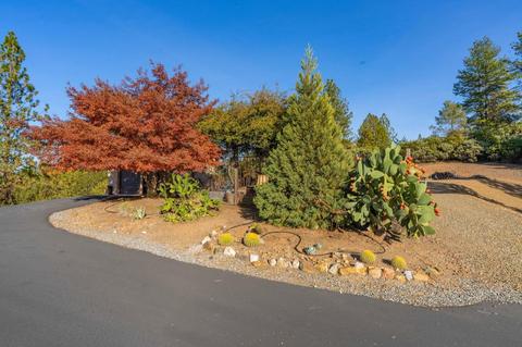 14786 Shakeridge Rd, Sutter Creek, CA 95685 photo 63