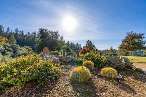 14786 Shakeridge Rd, Sutter Creek, CA 95685 photo 58