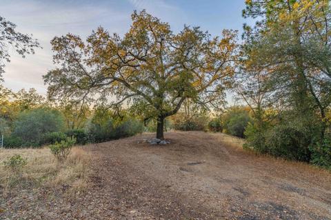 14786 Shakeridge Rd, Sutter Creek, CA 95685 photo 68