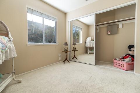 3352 Cardinal Flower Ave, Modesto, CA 95355 photo 18