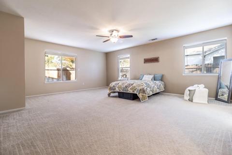 3352 Cardinal Flower Ave, Modesto, CA 95355 photo 19