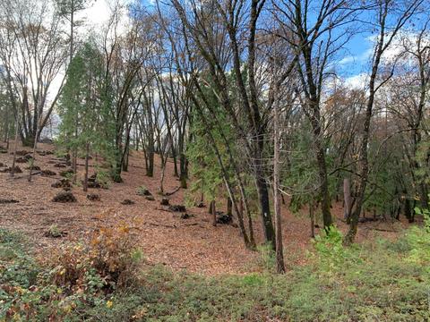 13164 Eaglepine Pl, Nevada City, CA 95959