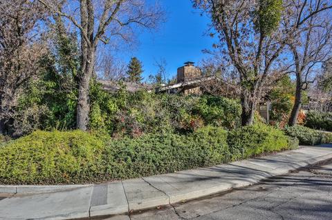 423 Iris Pl, Davis, CA 95616 photo 4