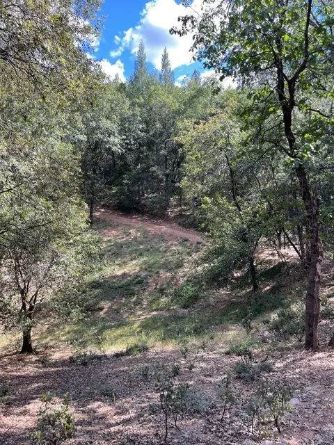 0 Loggers Trl, Colfax, CA 95713