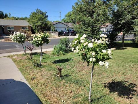 707 Nome Ave, Modesto, CA 95350 photo 44