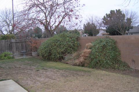 3601 Turnstone Dr, Turlock, CA 95382 photo 4