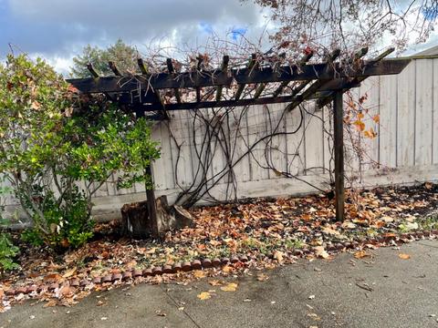 828 Avalon Ave, Lafayette, CA 94549 photo 24