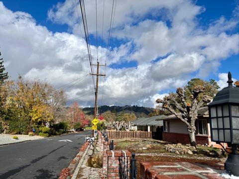 828 Avalon Ave, Lafayette, CA 94549 photo 3