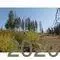 9564 Mountain Ranch Rd, Mountain Ranch, CA 95246 photo 8