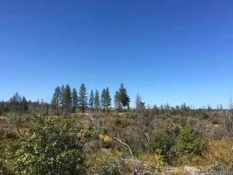 9564 Mountain Ranch Rd, Mountain Ranch, CA 95246 photo 5