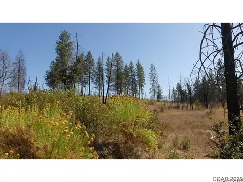 9564 Mountain Ranch Rd, Mountain Ranch, CA 95246 photo 2