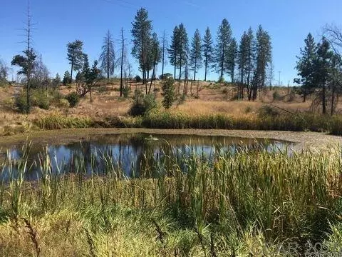 9564 Mountain Ranch Rd, Mountain Ranch, CA 95246 photo 1