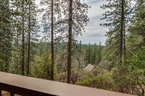 1838 Bear Clover Dr, Arnold, CA 95223 photo 29
