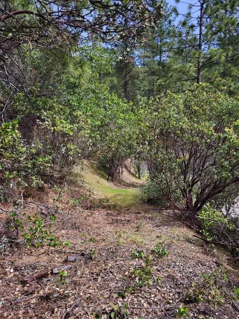 4698 W Ponderosa Way, Murphys, CA 95247 photo 4