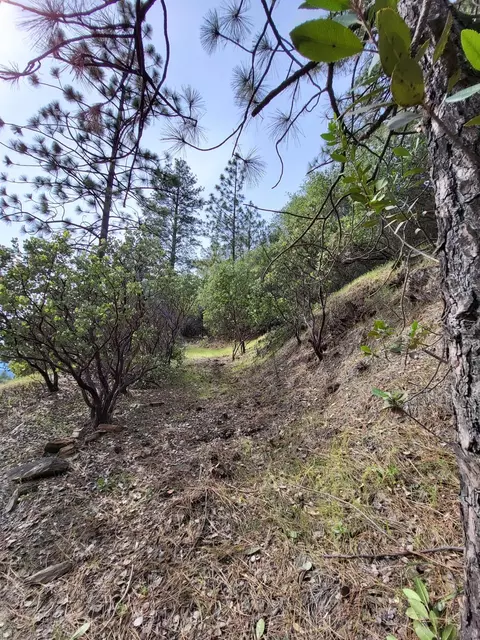 4698 W Ponderosa Way, Murphys, CA 95247 photo 7