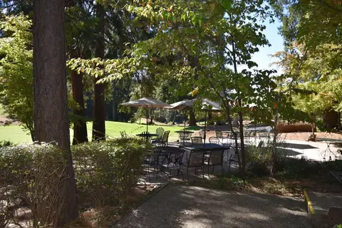 800 Sandalwood Dr, Murphys, CA 95247 photo 23