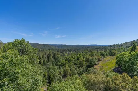 317 Snowberry, Murphys, CA 95247 photo 10