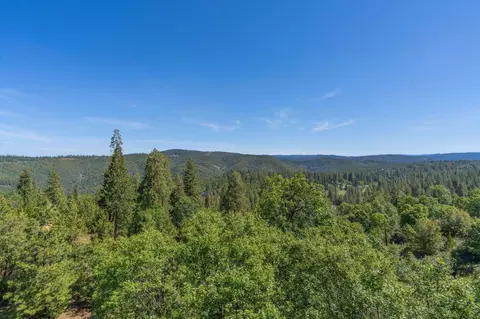 317 Snowberry, Murphys, CA 95247 photo 16