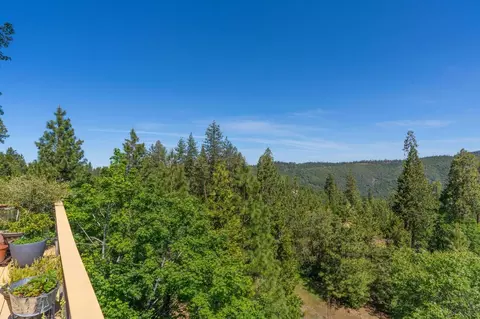 317 Snowberry, Murphys, CA 95247 photo 17