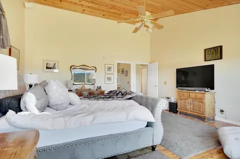 317 Snowberry, Murphys, CA 95247 photo 43