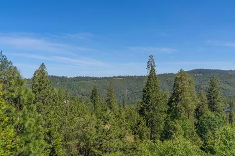 317 Snowberry, Murphys, CA 95247 photo 66