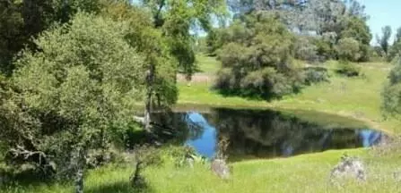 3058 Stagecoach Rd, Copperopolis, CA 95228 photo 32