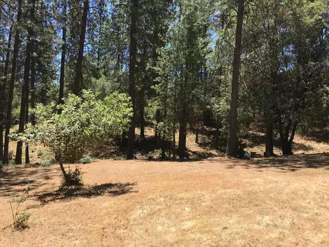 5898 W Black Quartz Rd, Murphys, CA 95247 photo 6