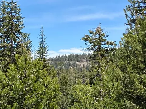 14 John Ebbetts Rd, Bear Valley, CA 95223 photo 37