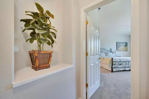 461 Mitchell Lake Ct, Copperopolis, CA 95228 photo 14