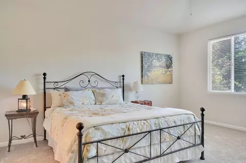 461 Mitchell Lake Ct, Copperopolis, CA 95228 photo 15
