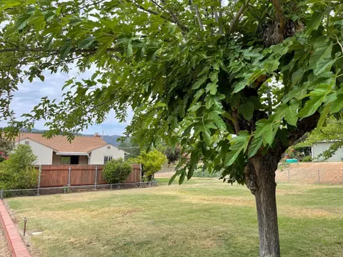 396 Lewis Ave, San Andreas, CA 95249 photo 41