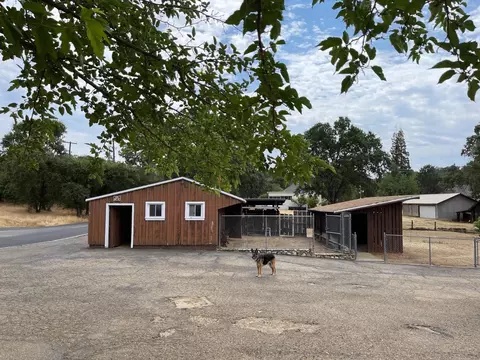 396 Lewis Ave, San Andreas, CA 95249 photo 17