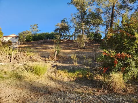 972 Foothill Rd, Copperopolis, CA 95228 photo 2