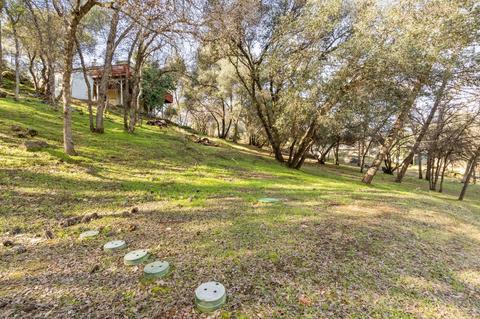 1403 Blue Tent Ct, Cool, CA 95614 photo 25