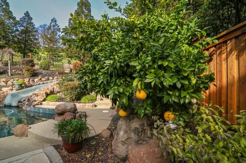 4525 Mountaingate Dr, Rocklin, CA 95765 photo 44