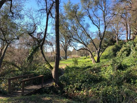 81 Covered Bridge Rd, Carmichael, CA 95608 photo 72