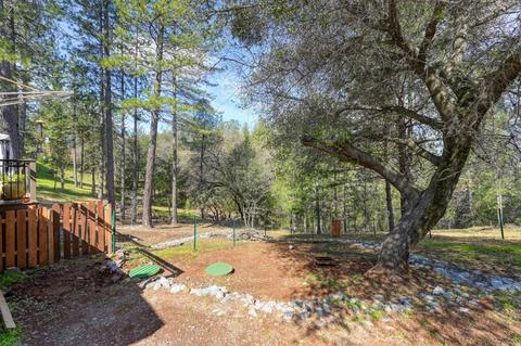 2589 Hidden Gold Ct, Cool, CA 95614 photo 50