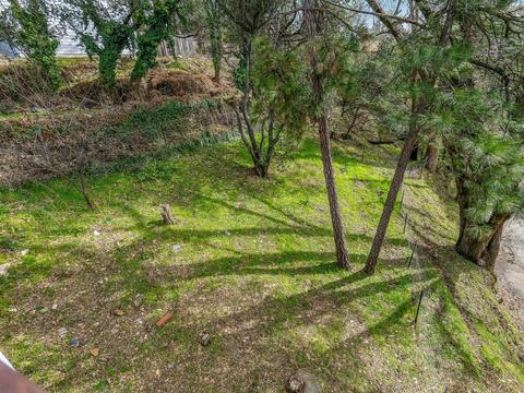 868 Green St, Placerville, CA 95667 photo 19