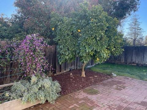 652 Lassen Ct, Merced, CA 95340 photo 15