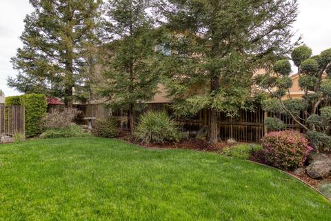 3304 Windy Cove Ct, Modesto, CA 95355 photo 66