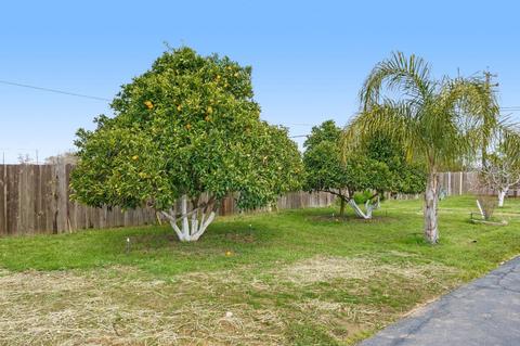 25090 County Road 95, Davis, CA 95616 photo 6