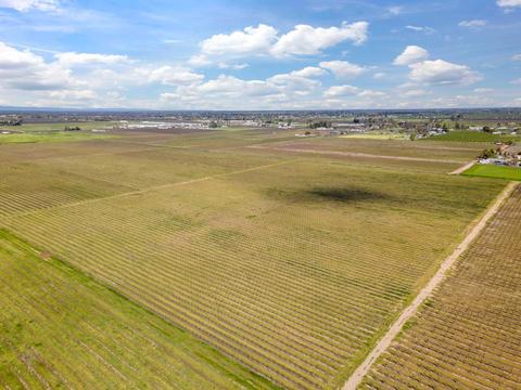 5677 E Peltier Rd, Acampo, CA 95220 photo 23