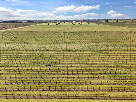 5677 E Peltier Rd, Acampo, CA 95220 photo 20
