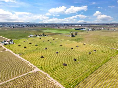 5677 E Peltier Rd, Acampo, CA 95220 photo 22