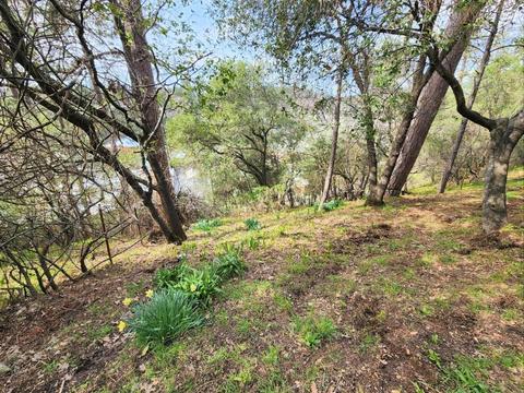 3042 Meridian Ct, Placerville, CA 95667 photo 22